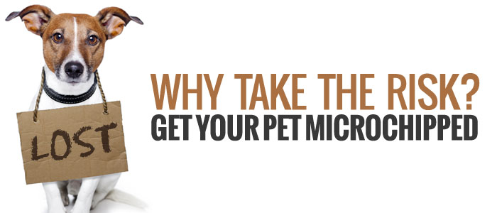 microchipGet-your-pet-microchipped